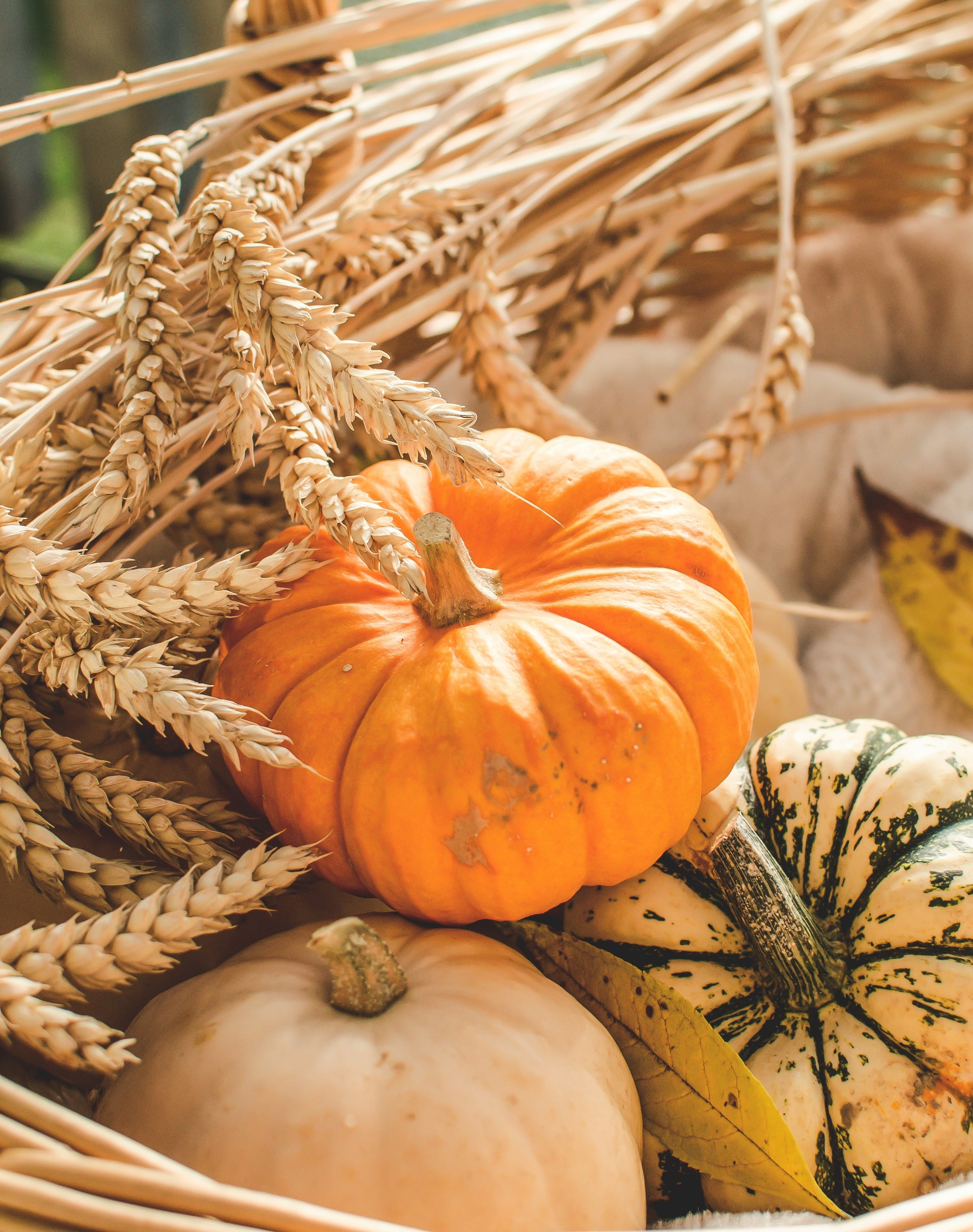 October Healthy Aging Series
