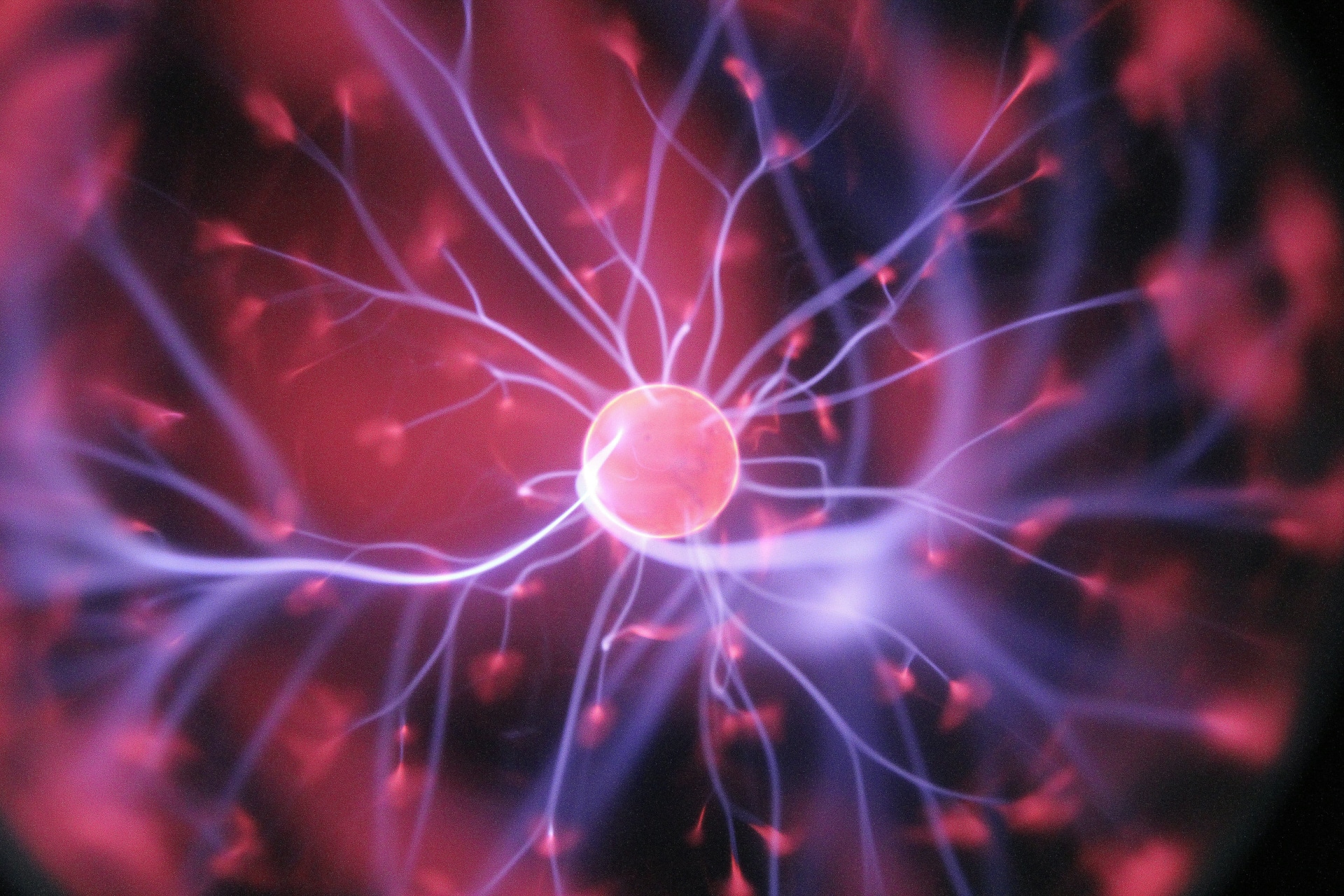 AARP: Six Pillars of Brain Health