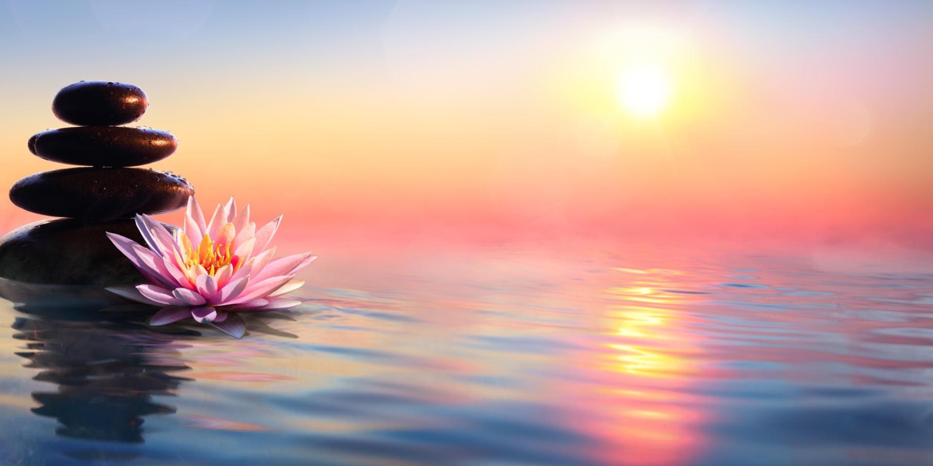 Wellness Showcase June 9, 2025